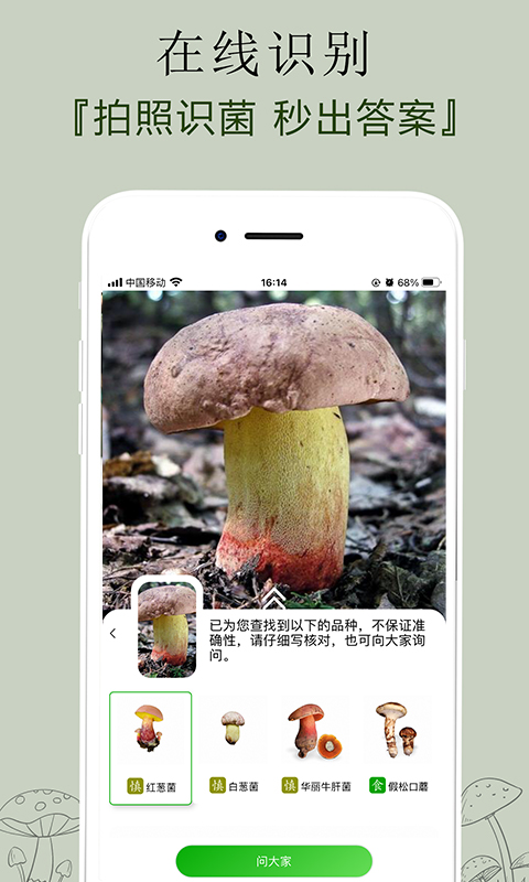 菌窝子安卓版