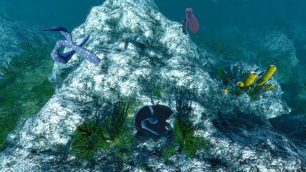海洋生态模拟器好玩吗 海洋生态模拟器玩法简介