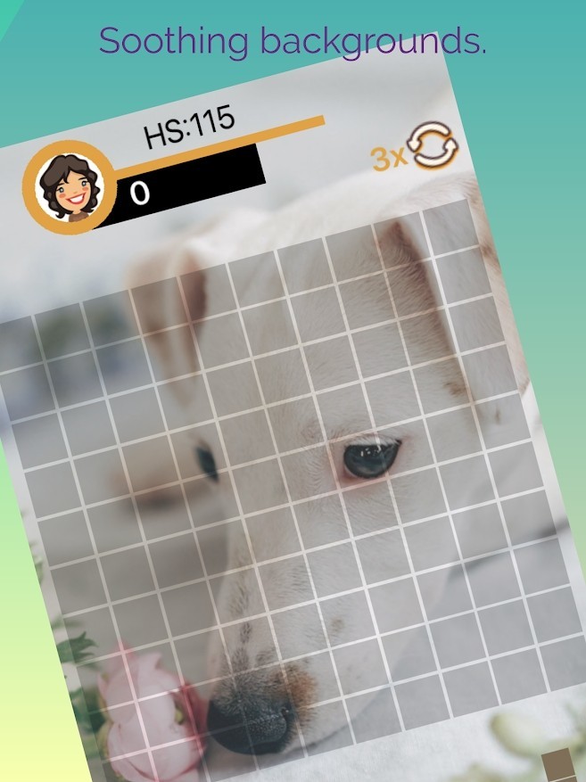 经典积木和数独好玩吗 经典积木和数独玩法简介