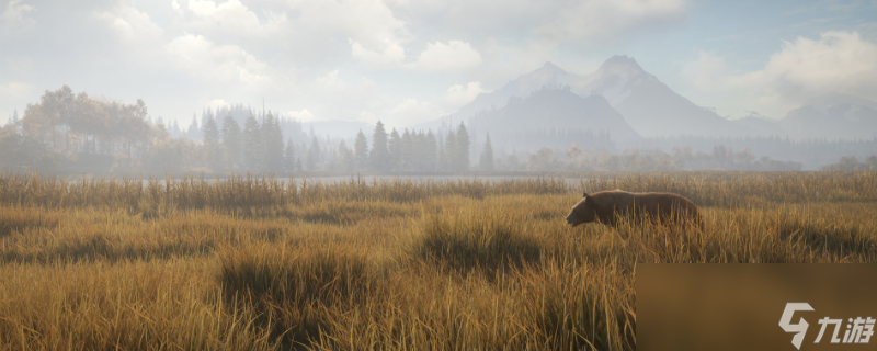 猎人：荒野的召唤硬弹和软弹的区别是什么