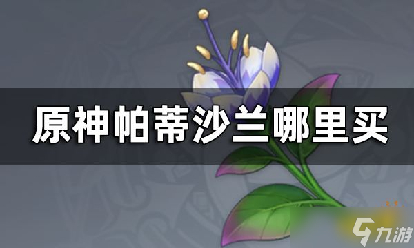 《原神》帕蒂沙兰购买位置 帕蒂沙兰哪里买？