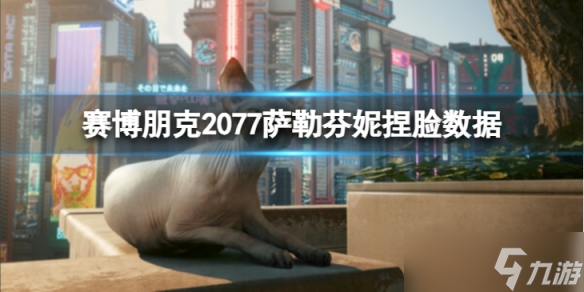 《赛博朋克2077》萨勒芬妮怎么捏？萨勒芬妮捏脸数据分享