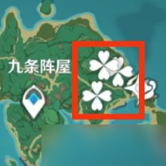 《原神》苹果哪里多？苹果获取位置分享