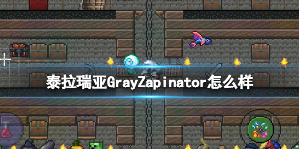 《泰拉瑞亚》GrayZapinator怎么样 GrayZapinator图鉴介绍
