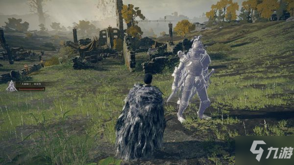 《艾尔登法环》1.03版骑士类骨灰强度分析