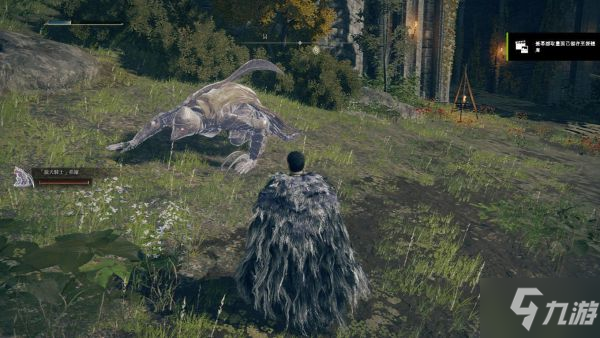《艾尔登法环》1.03版骑士类骨灰强度分析