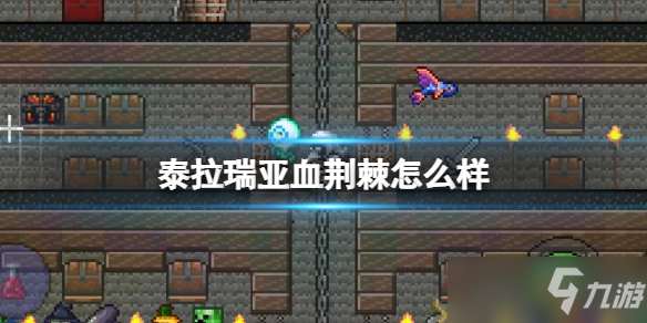 《泰拉瑞亚》血荆棘怎么样 血荆棘武器介绍