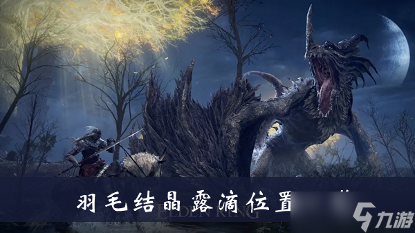 《艾尔登法环》羽毛结晶露滴位置一览