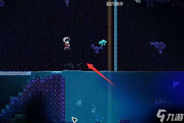 泰拉瑞亚哥布林工匠入住条件