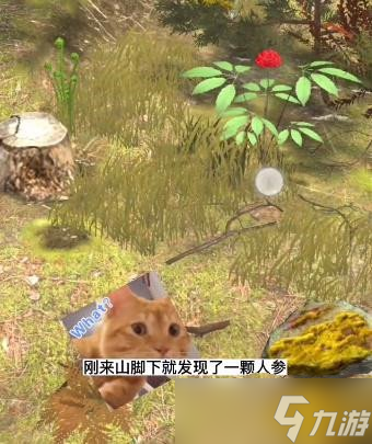 《夺笋高手》长白山无价之宝千年人参获得方法一览