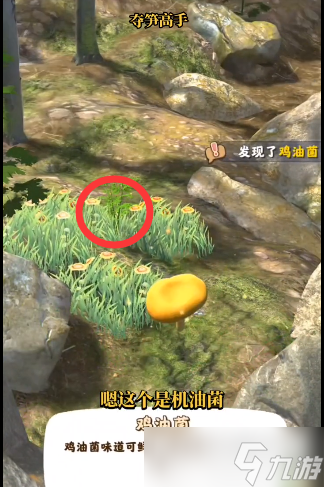 夺笋高手金钗石斛怎么获得