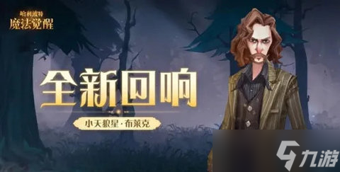 哈利波特魔法觉醒小天狼星回响玩法攻略