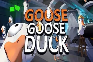 goose goose duck鹅鸭杀进不去房间怎么办