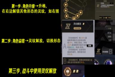 非匿名指令纹章词条怎么选择