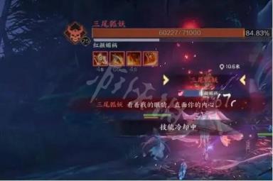 三尾狐妖打法