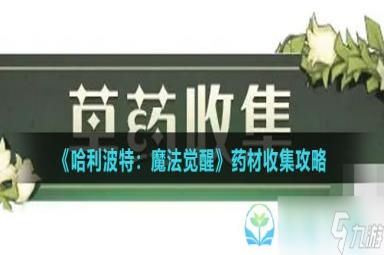 《哈利波特魔法觉醒》药材收集策略