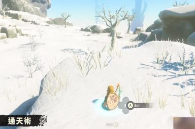 《塞尔达传说:王国之泪》通天术作用介绍