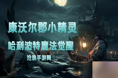 哈利波特魔法觉醒康沃尔郡小精灵卡牌介绍