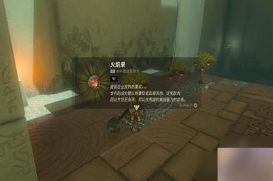 塞尔达传说王国之泪伊恩伊萨神庙攻略 第二座神庙解谜攻略