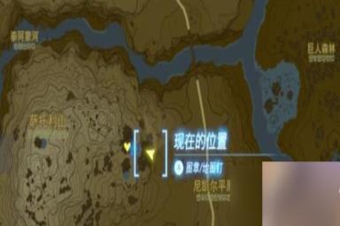 塞尔达传说王国之泪海拉鲁草在哪里介绍