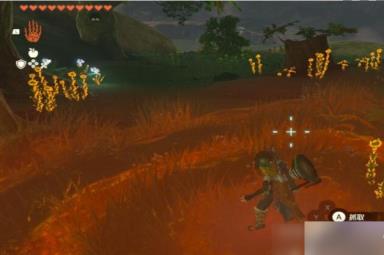 塞尔达传说王国之泪海拉鲁草在哪里介绍