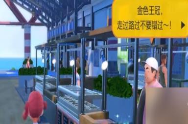 宝可梦朱紫金色王冠作用是什么 在哪里可以买到