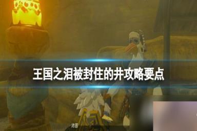 《塞尔达传说王国之泪》被封住的井任务在哪接？被封住的井攻略要点