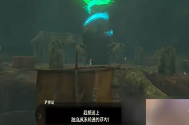 《塞尔达传说：王国之泪》宝贵的宝物任务攻略