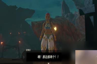 塞尔达传说王国之泪收购琥珀任务介绍