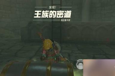 塞尔达传说王国之泪王族密道开启攻略