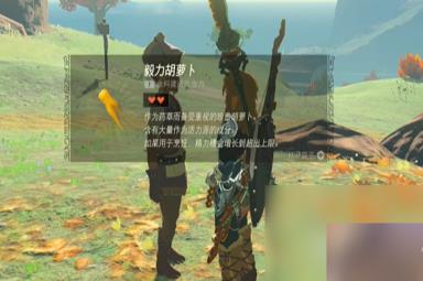 《塞尔达传说：王国之泪》聚集的海盗任务方法