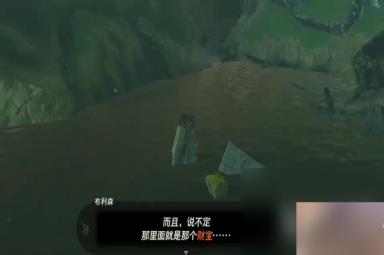 塞尔达传说王国之泪我们的宝物任务方法