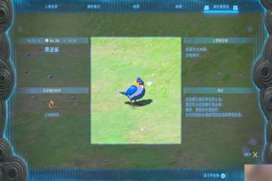 塞尔达传说王国之泪青波雀在哪里