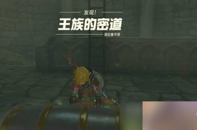 塞尔达传说王国之泪王族密道开启方法指南