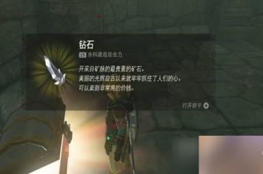 塞尔达传说王国之泪王族密道开启方法指南