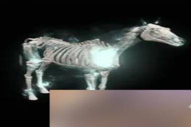 暗黑破坏神4坐骑解锁与种类介绍