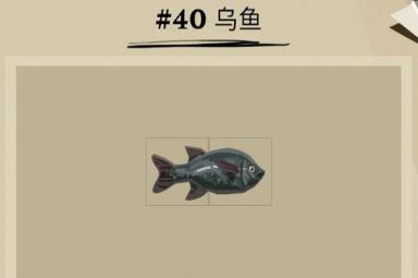 《渔帆暗涌》乌鱼位置一览