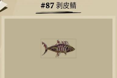 《渔帆暗涌》剥皮鲭位置一览
