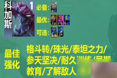 云顶之弈s9格斗射手阵容搭配