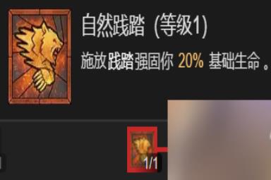 《暗黑破坏神4》粉碎流德鲁伊升级加点指南