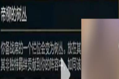《云顶之弈》皮尔特沃夫刷龙攻略详解