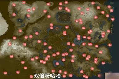 塞尔达传说王国之泪特殊点位有哪些-塞尔达传说王国之泪全收集地图攻略