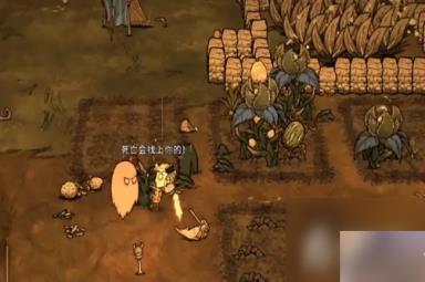 《饥荒联机版》亮茄套装制作方法