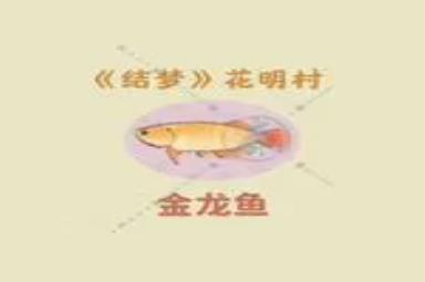 《桃源深处有人家》朱敬儒喜好一览