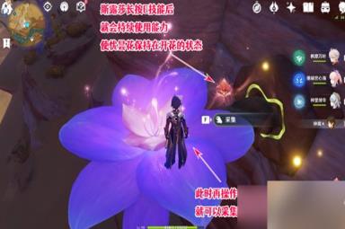 《原神》优昙花的花蕊怎么获得 优昙花花蕊怎么采集
