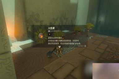 《塞尔达传说王国之泪》火焰弓获得方法