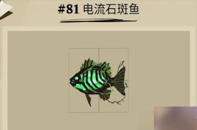 《渔帆暗涌》中电流石斑鱼的捕获技巧