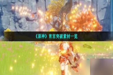 原神宵宫突破需要哪些素材-新角色宵宫突破素材一览