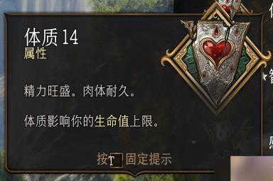 博德之门3体质属性有什么特殊作用