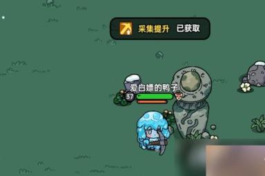 《沙盒与副本英勇之地》采集装备推荐